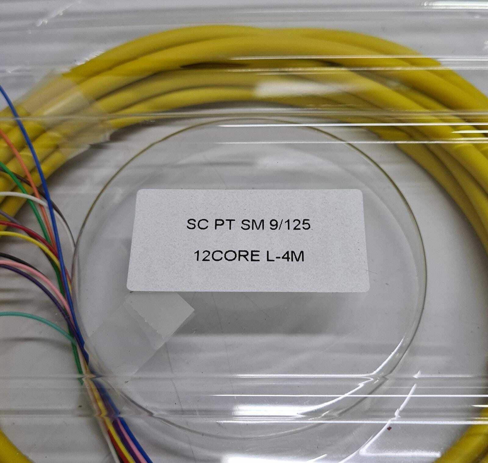 Fiber Optic Cable SC PT SM 9/125 12CORE L-4M