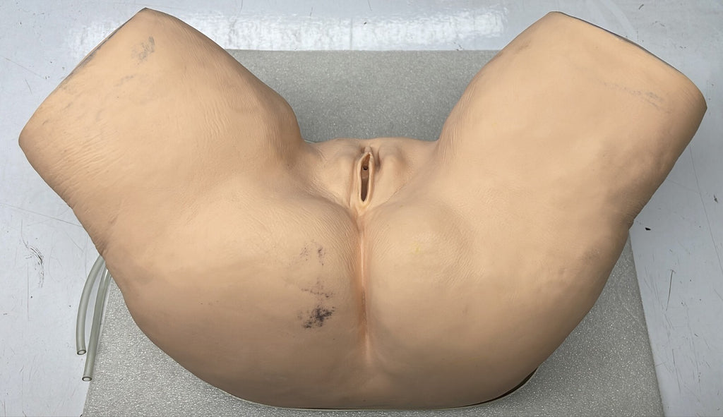 NASCO Life form Female Catheterization Simulator Training LF856
