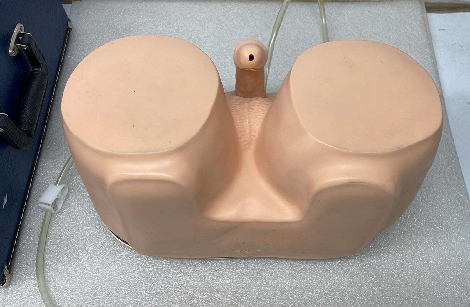 NASCO Life form Male Catheterization Simulator Training LF855