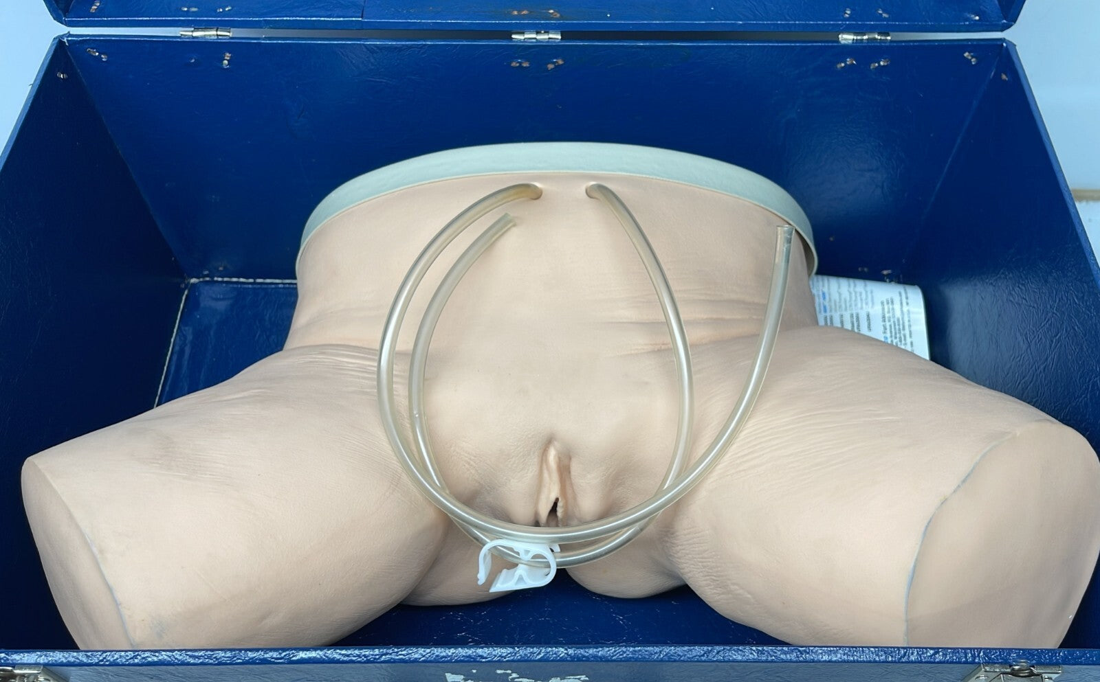 NASCO Life form Female Catheterization Simulator Training LF856