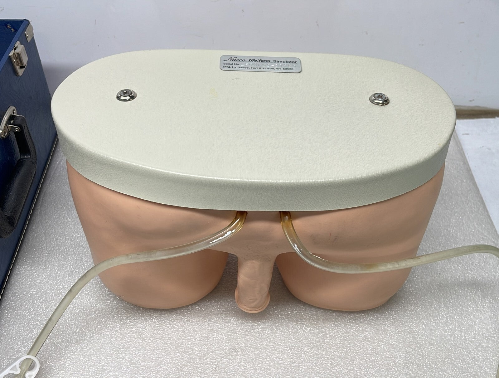 NASCO Life form Male Catheterization Simulator Training LF855